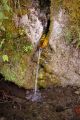 2010 07 01 jeanmarcperfetti.com 002.JPG